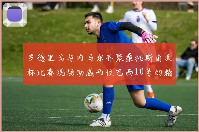 罗德里戈与内马尔齐聚桑托斯南美杯比赛现场助威两位巴西10号的精彩时刻